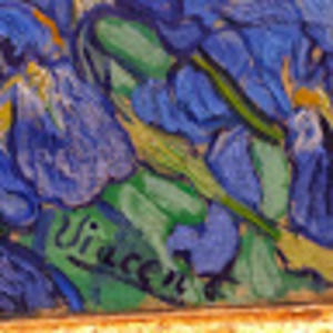 Meet your Posher, Lexie